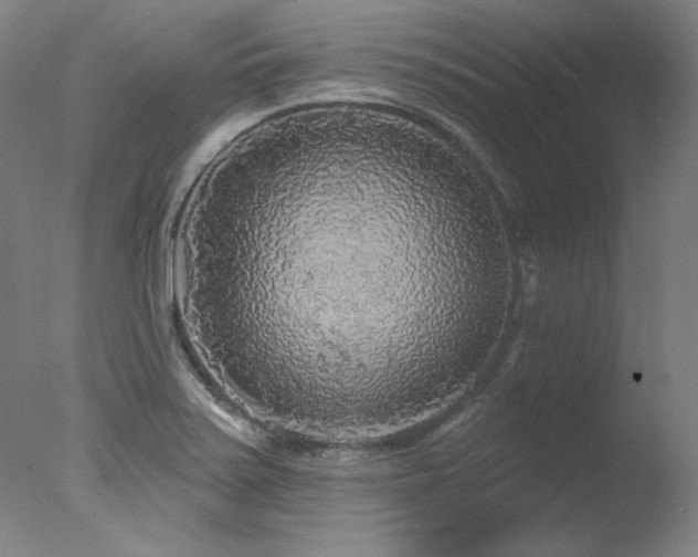 X0000078011371200610271157