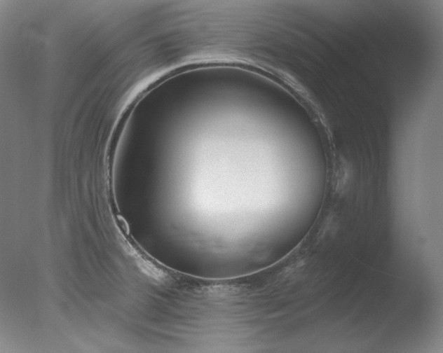 X0000078011380200610271156