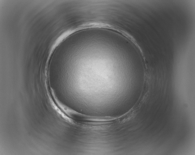 X0000078011381200610271156