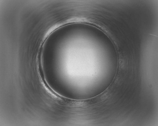 X0000078011382200610271156