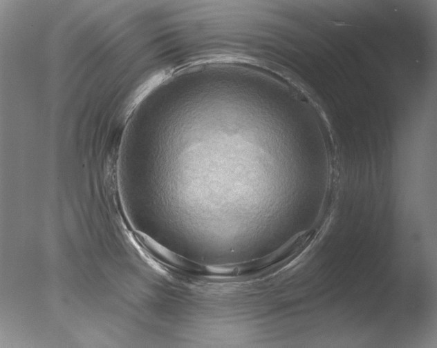 X0000078011385200610271156