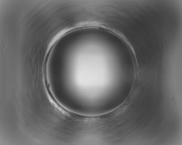 X0000078011389200610271156