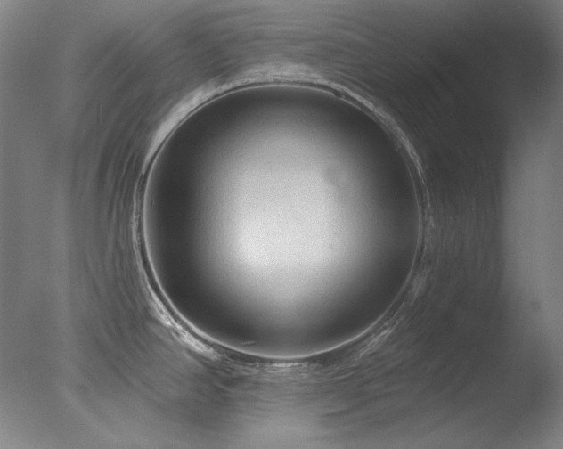 X0000078011390200610271156