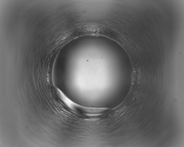 X0000078011394200610271155