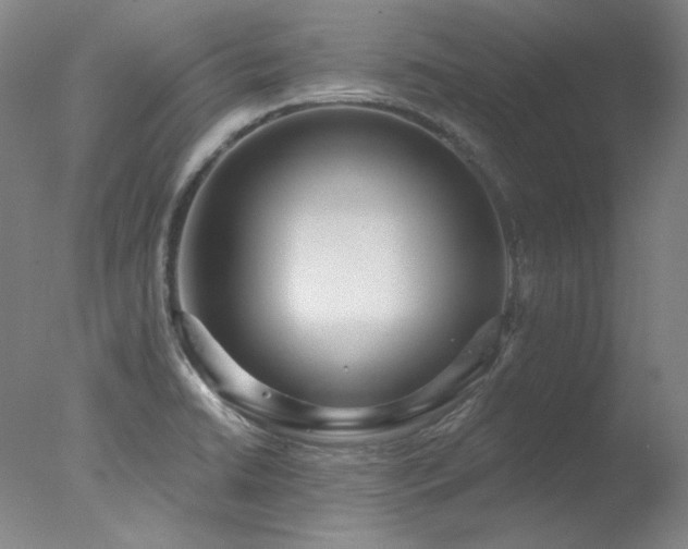 X0000078011422200610271156