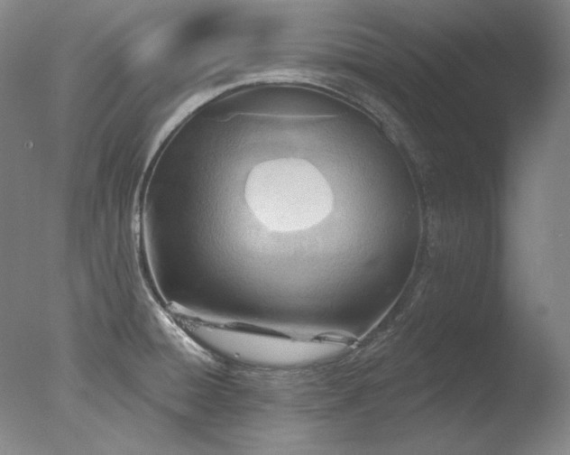 X0000078011428200610271156