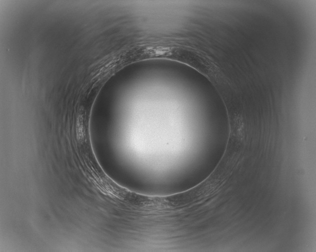 X0000078011442200610271155