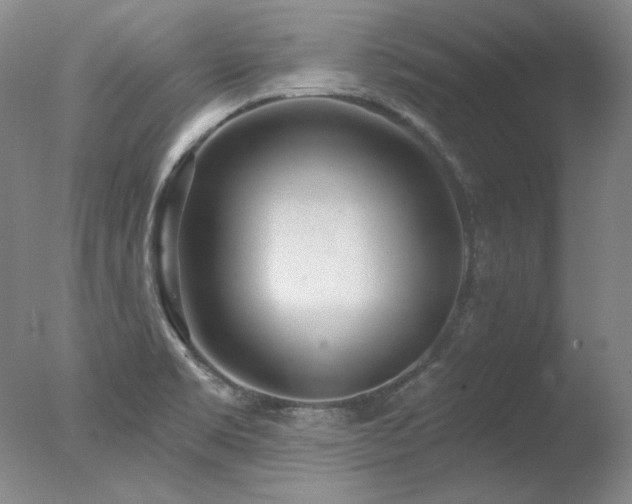 X0000078011469200610271155
