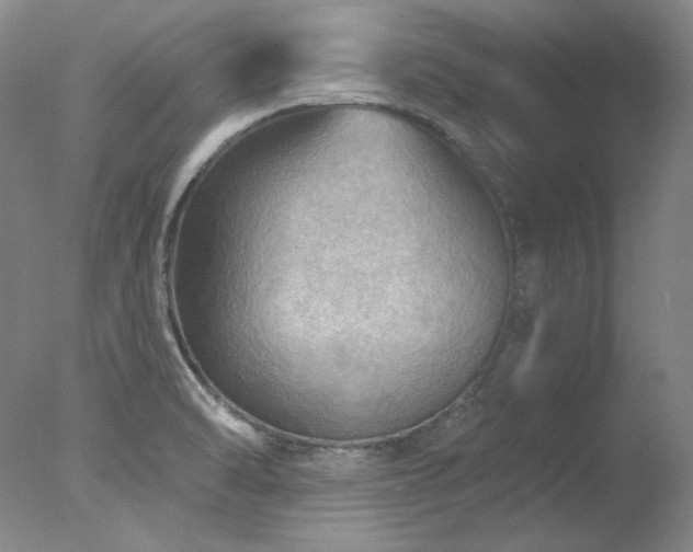 X0000078011470200610271155