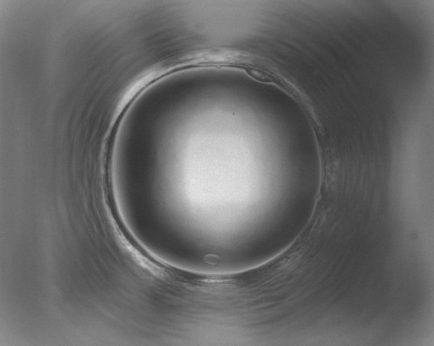 X0000078011483200610271155