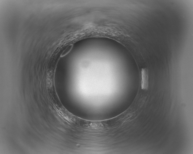 X0000078011491200610271154
