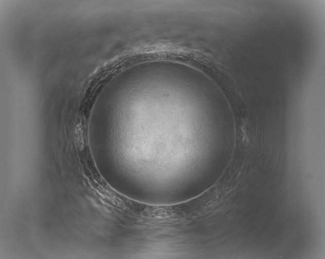 X0000078011493200610271154