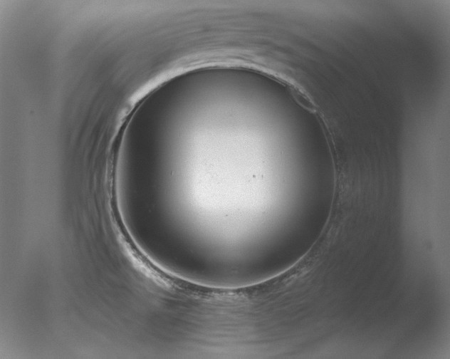 X0000078011526200610271154