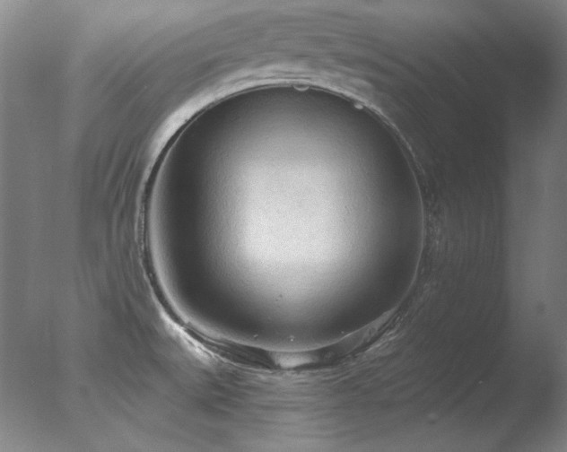 X0000078011527200610271154