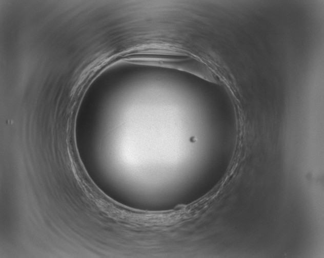 X0000078010001200611031442