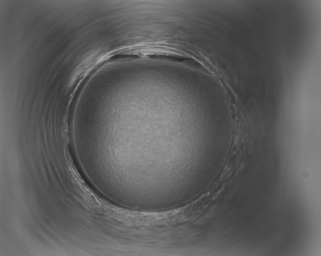 X0000078010002200611031442