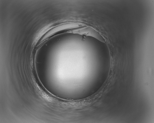 X0000078010005200611031442