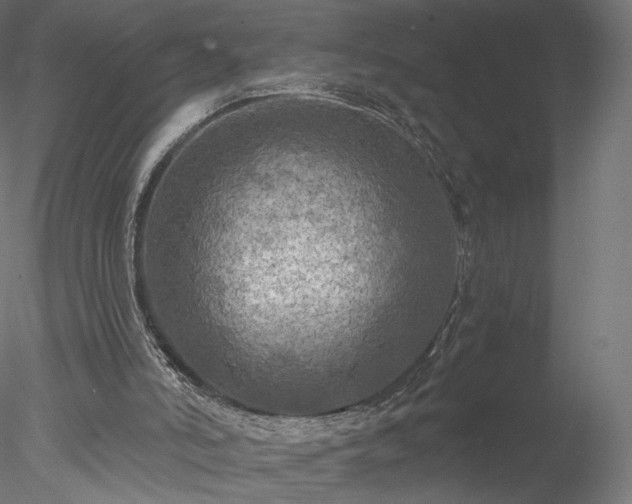 X0000078010006200611031442