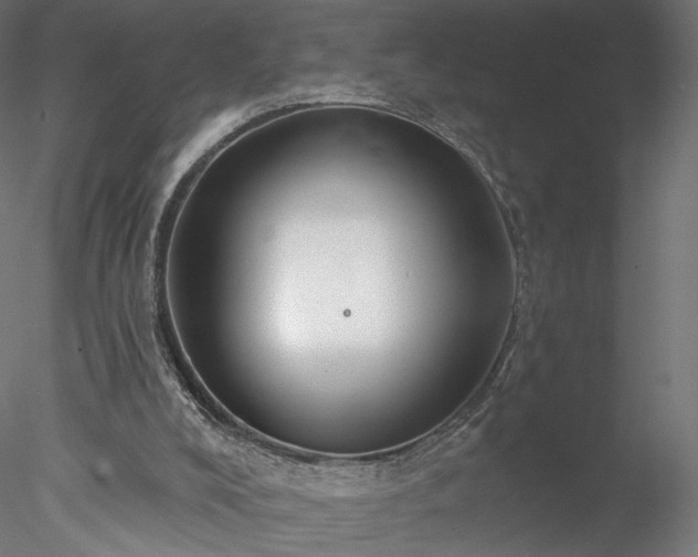 X0000078010008200611031442