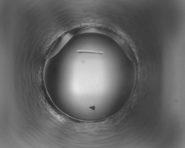 X0000078010009200611031442