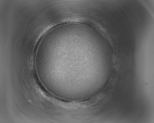 X0000078010012200611031442