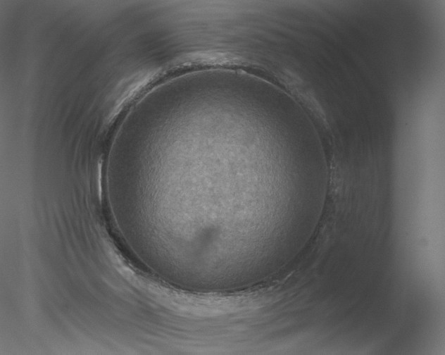 X0000078010014200611031442