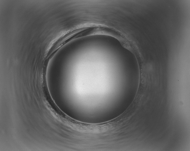 X0000078010015200611031442