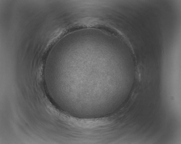 X0000078010018200611031442