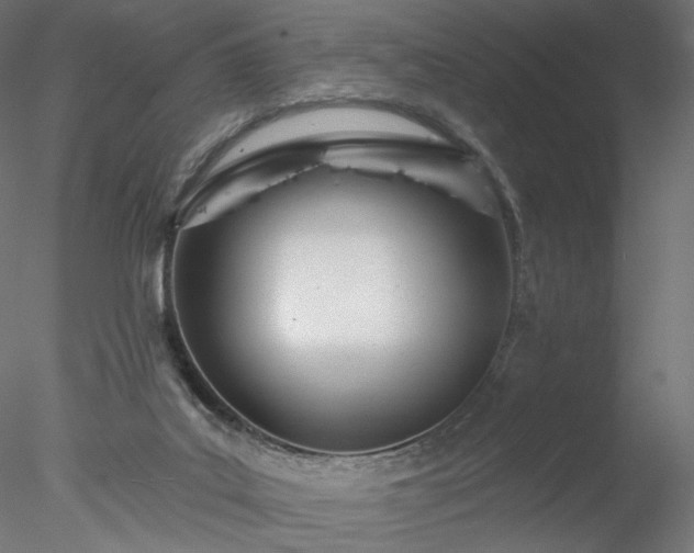 X0000078010019200611031442