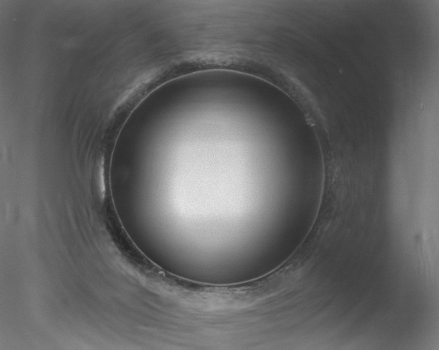 X0000078010020200611031442