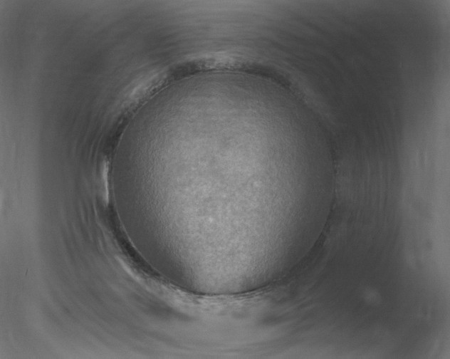 X0000078010022200611031442