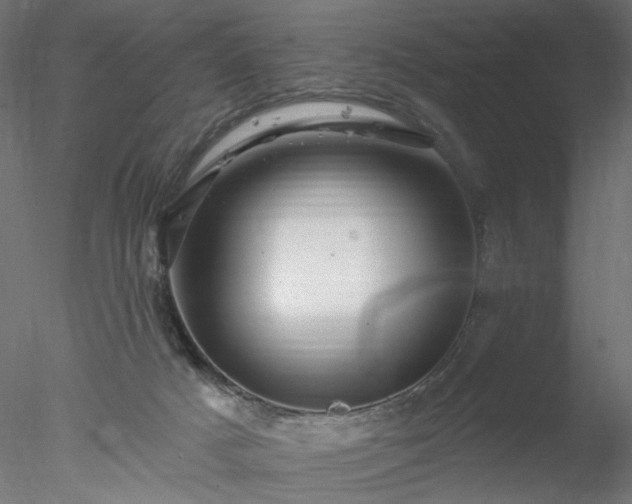 X0000078010025200611031442