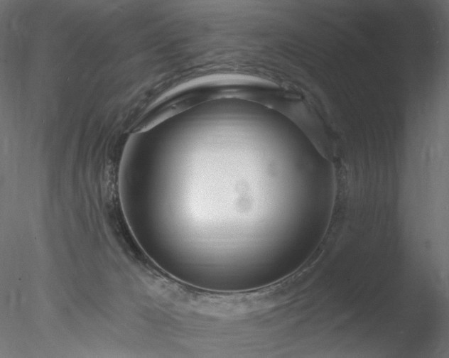 X0000078010029200611031442