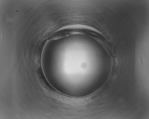 X0000078010031200611031442