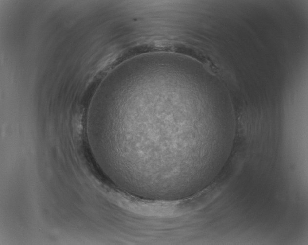 X0000078010032200611031442