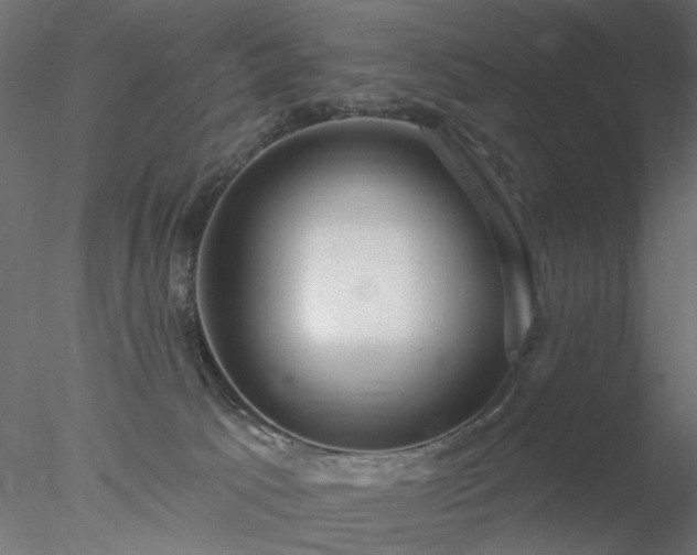 X0000078010033200611031442