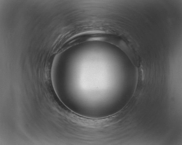 X0000078010035200611031442