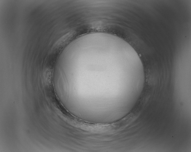 X0000078010036200611031442