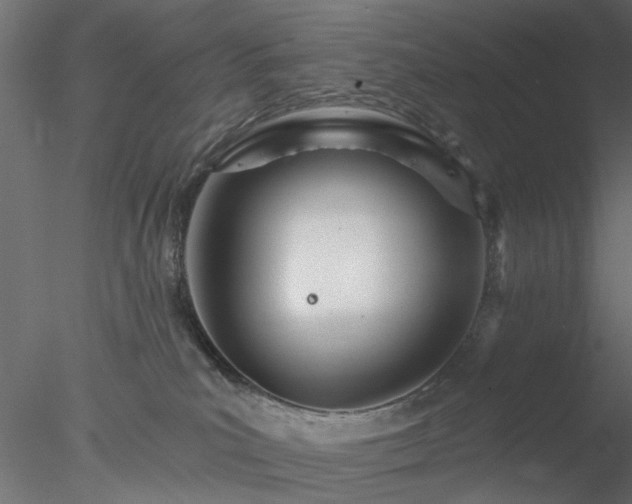 X0000078010039200611031441