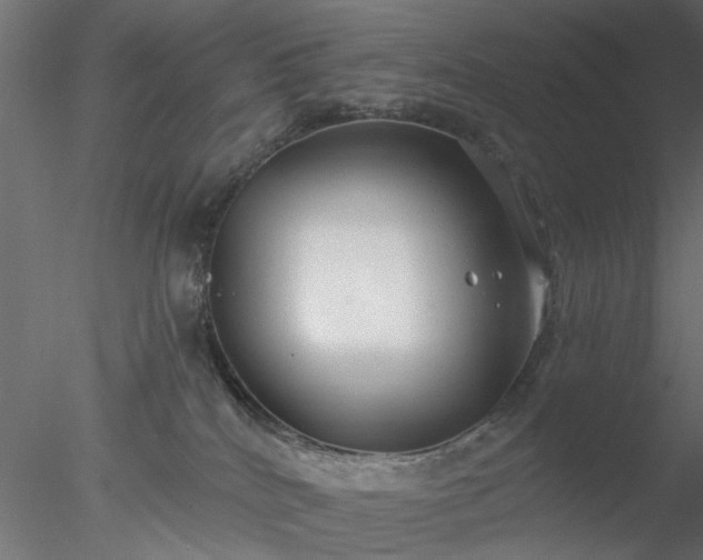 X0000078010040200611031441