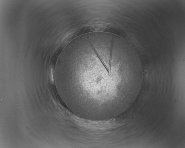 X0000078010042200611031441