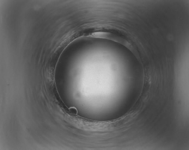 X0000078010044200611031441