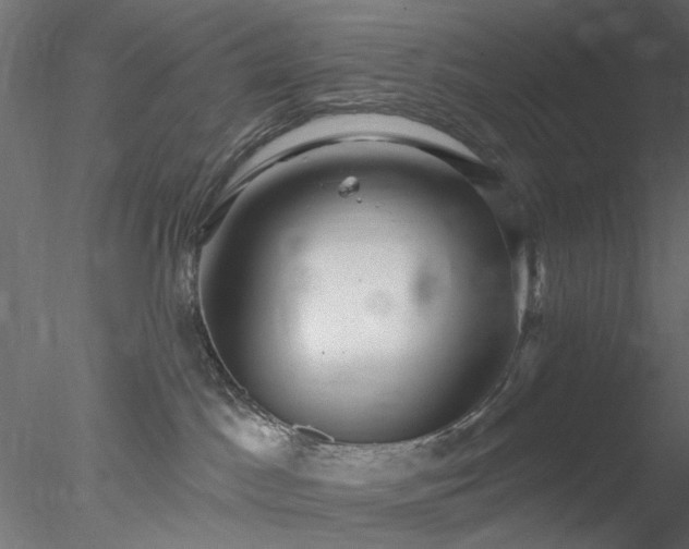 X0000078010045200611031441