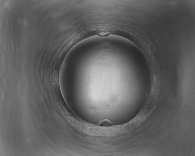 X0000078010048200611031441