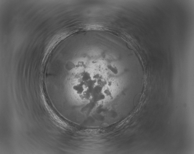 X0000078010049200611031441