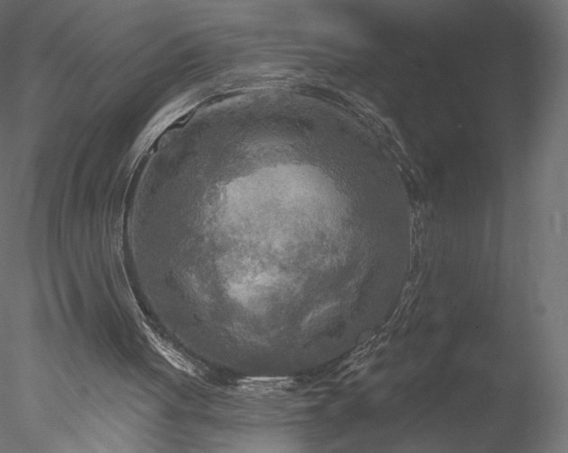 X0000078010051200611031441