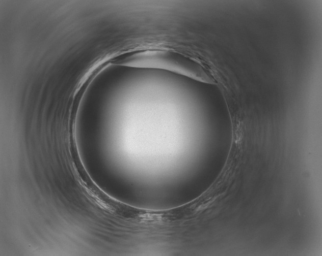 X0000078010052200611031441