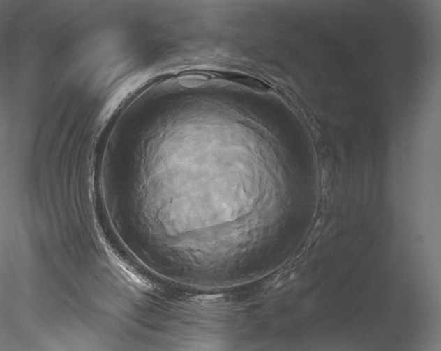 X0000078010054200611031441