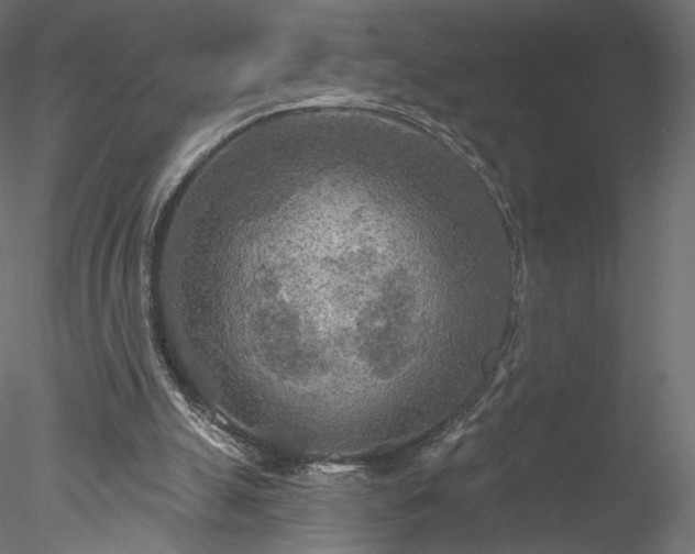 X0000078010055200611031441