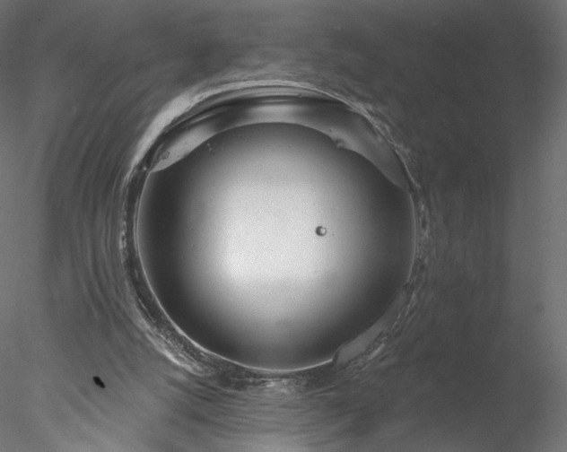 X0000078010056200611031441